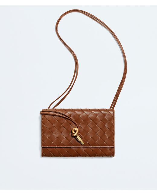 Bottega Veneta Brown Andiamo Pouch On Strap