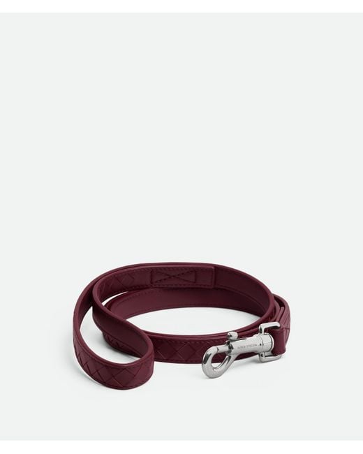 Bottega Veneta Multicolor Small Intrecciato Dog Leash
