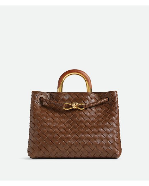 Bottega Veneta Brown Andiamo