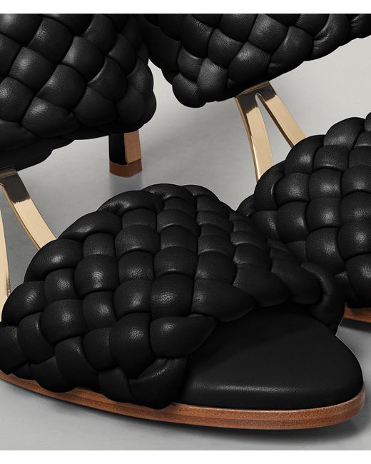 bottega veneta curve