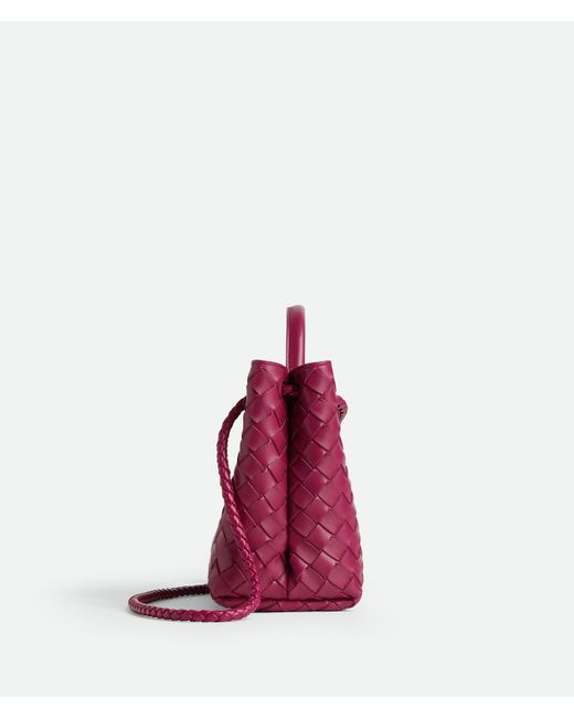 Bottega Veneta Purple Small Andiamo
