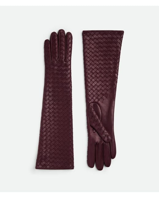 Bottega Veneta Purple Midi-Handschuhe Aus Intrecciato Leder