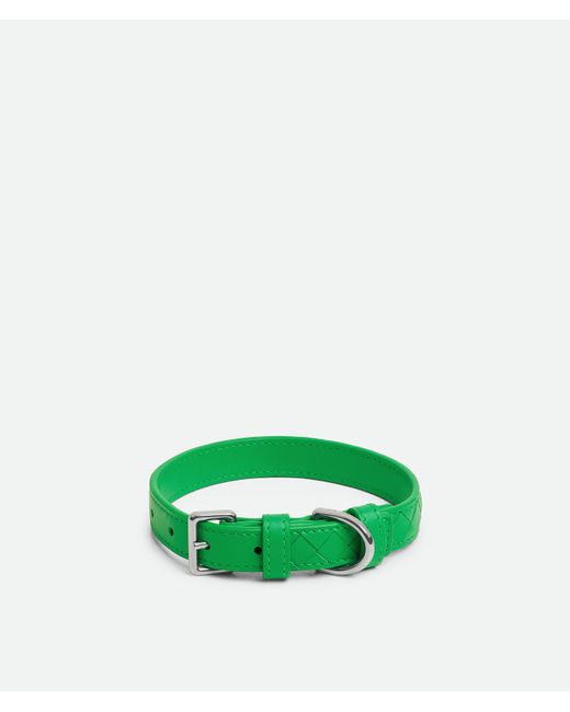 Bottega Veneta Green Small Intrecciato Dog Collar