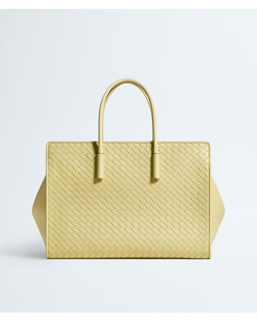 Bottega Veneta Metallic Barbara Tote