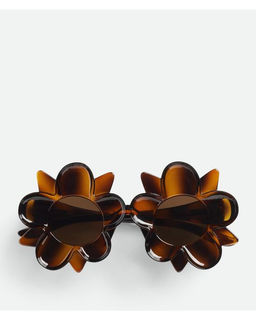Bottega Veneta Brown Peggy Flower Sunglasses
