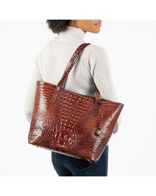 Brahmin brooke new arrivals