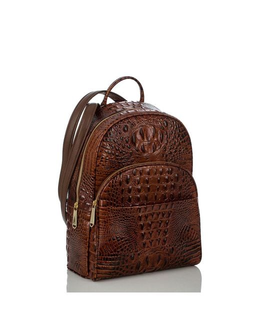 brahmin backpack
