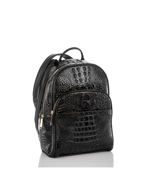 annapurna base camp trail