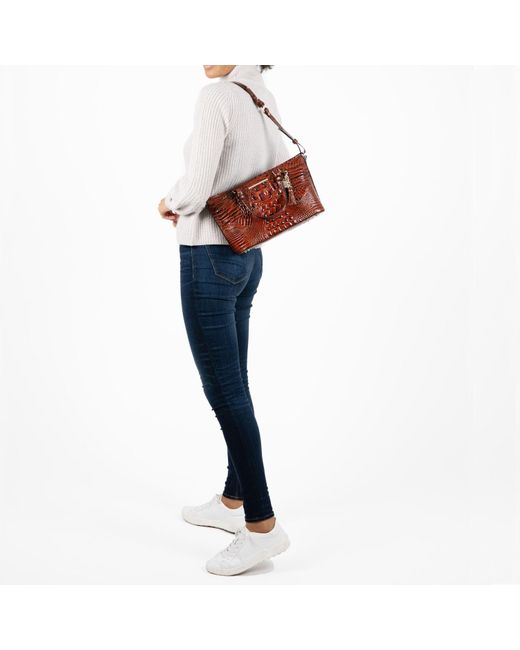 brahmin mini asher