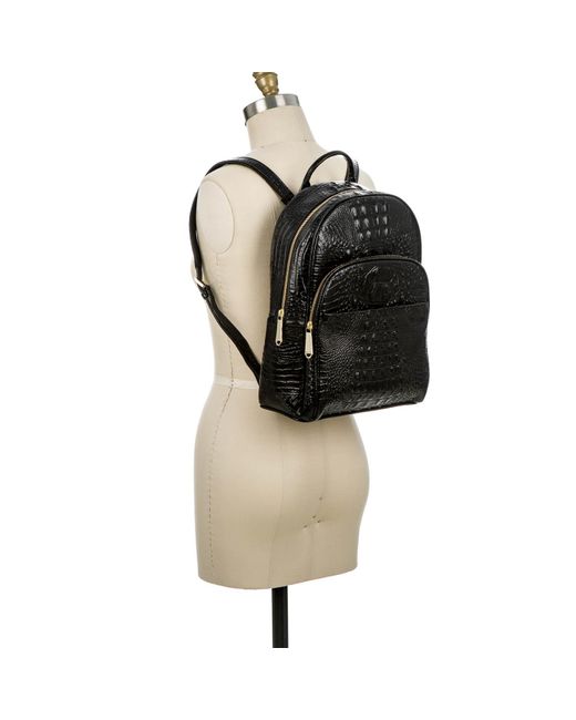 brahmin dartmouth backpack