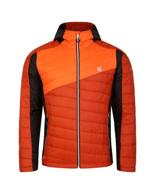 Dare 2b Orange Padded Jacket Touring Polyester Rooibos Tea/Puffins