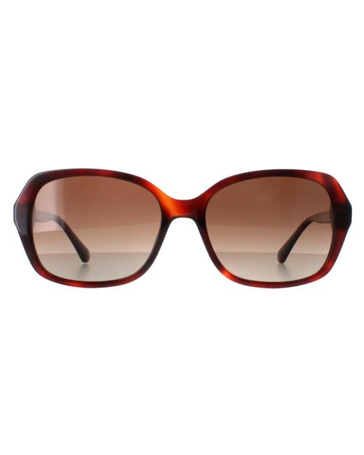 Kate Spade Brown Buttefly Havana Gradient Polarized Yvette/S