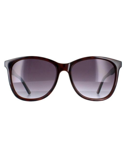 Ted Baker Brown Oval Tortoiseshell Gradient Tb1496 Alva