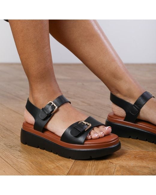 Where's That From Brown 'Andrea' Chunky Buckle Strap Sandal