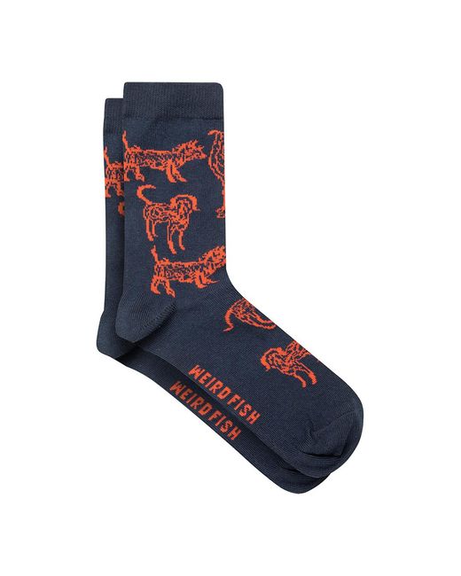 Weird Fish Blue Multi Dilki Striped 3 Pack Boot Socks