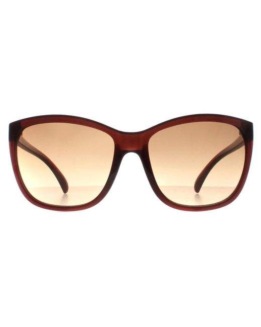 Calvin Klein Brown Sunglasses Ck19565S 210 Milky Gradient