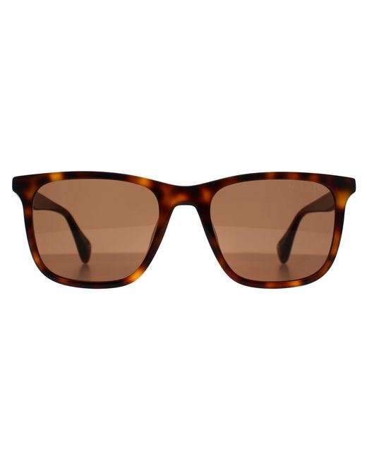 Ted Baker Brown Square Gloss Dark Tortoise Tb1724 Jacobe