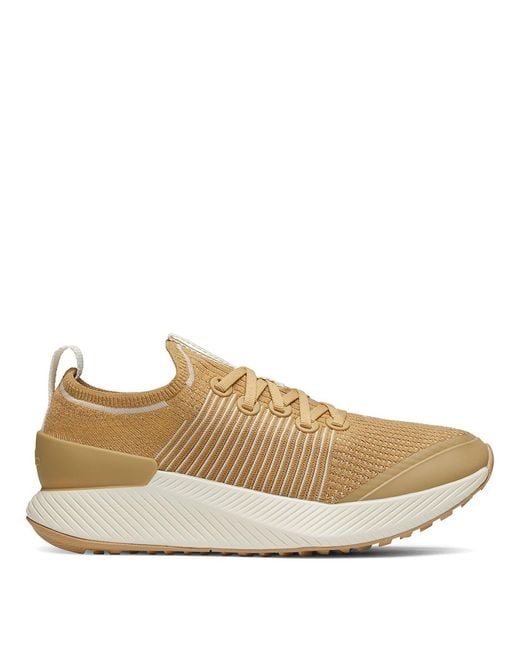 ALLBIRDS Brown Stony Tree Glider
