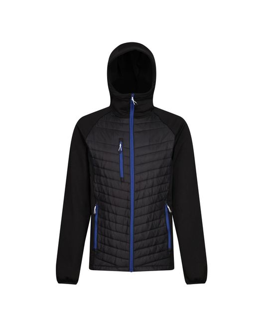Regatta Blue Hybrid Jacket Polyester/New Royal