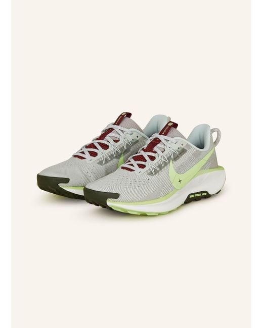 Nike Trailrunning-Schuhe REACTX PEGASUS TRAIL 5 in Gray für Herren