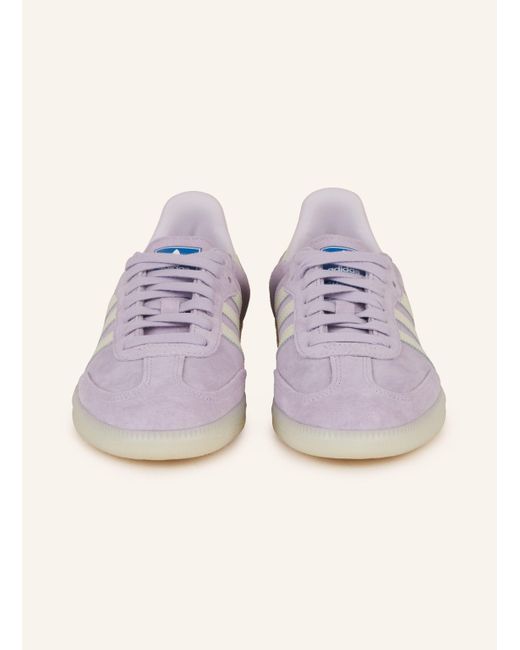 Adidas Originals Purple Sneaker SAMBA OG