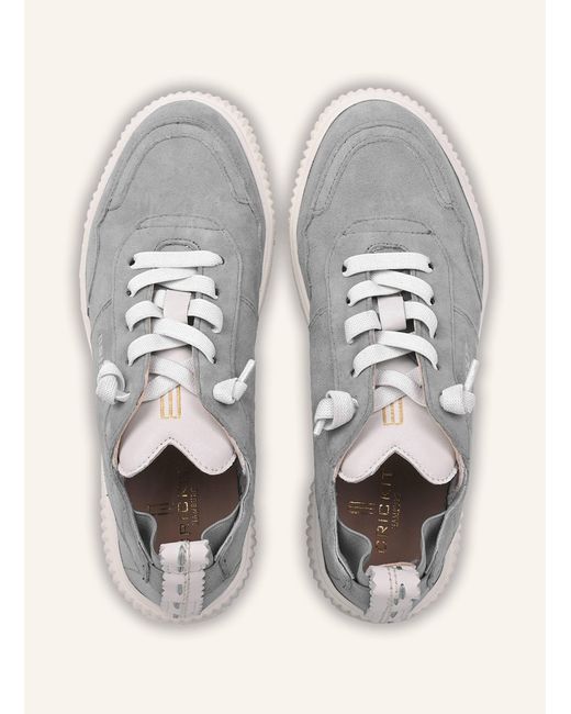 CRICKIT Gray Sneaker OAKLI