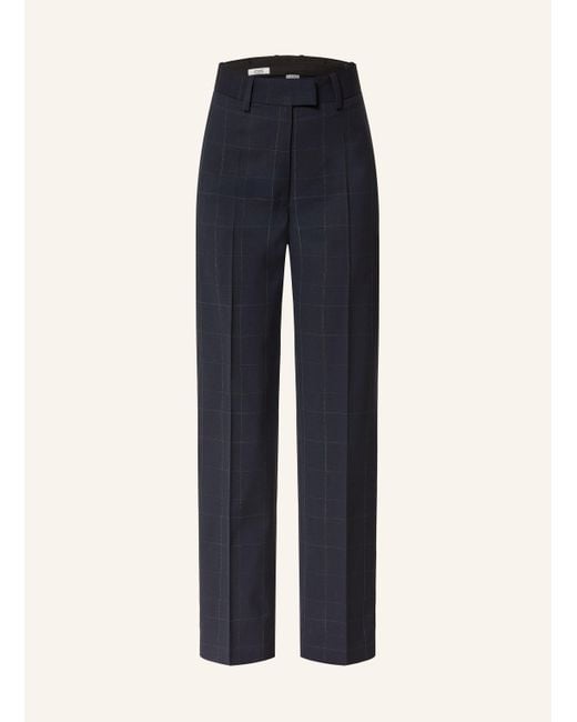 COS Blue Hose