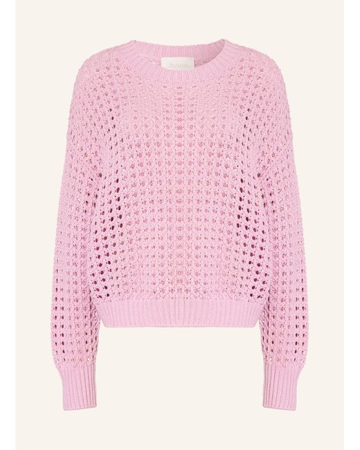 Juvia Pink Pullover FEDRA