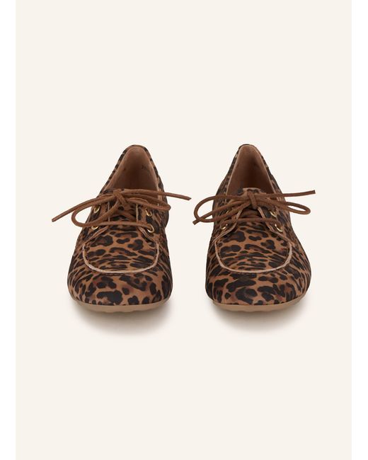 Paul Green Brown Mokassins
