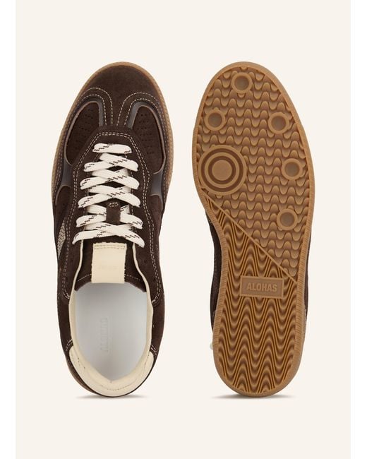 Alohas Brown Sneaker TB.490