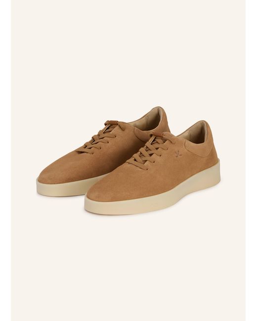 Lloyd Sneaker STUDIO ERA in Natural für Herren