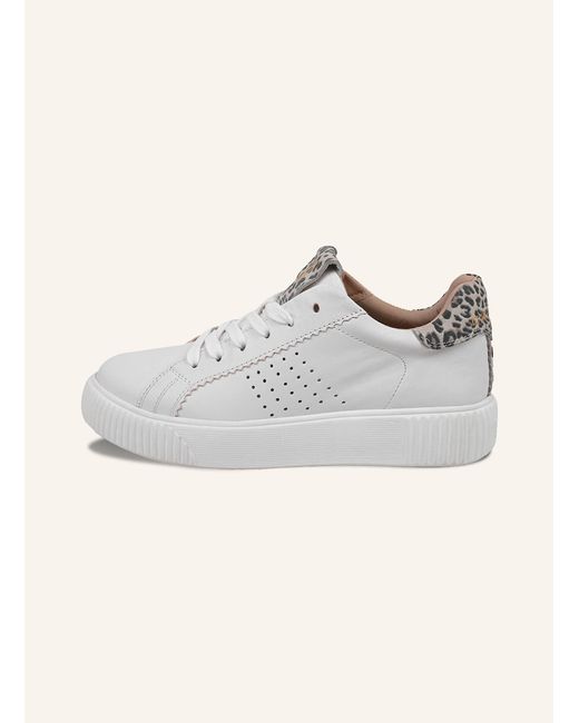 CRICKIT Gray Sneaker ORMA