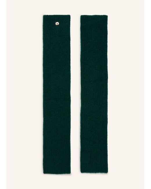 Maje Green Handschuhe