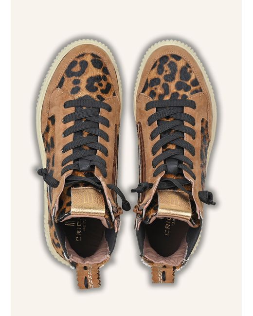 CRICKIT Natural Sneaker SONIA