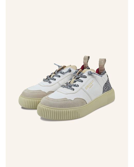 CRICKIT Multicolor Sneaker OAKLI