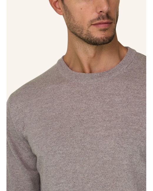 Boggi Pullover in Gray für Herren