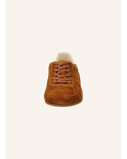 Gant Brown Sneaker Sperly