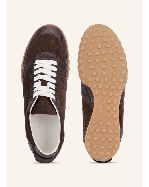 Tod's Brown Sneaker