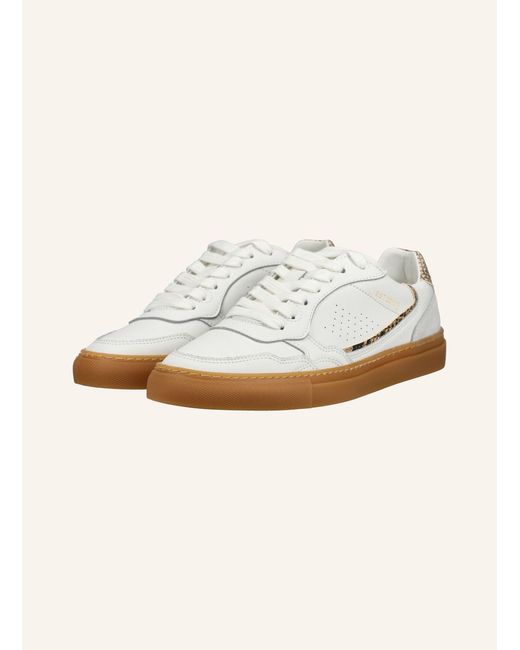 Pavement Natural Sneaker CECILIE