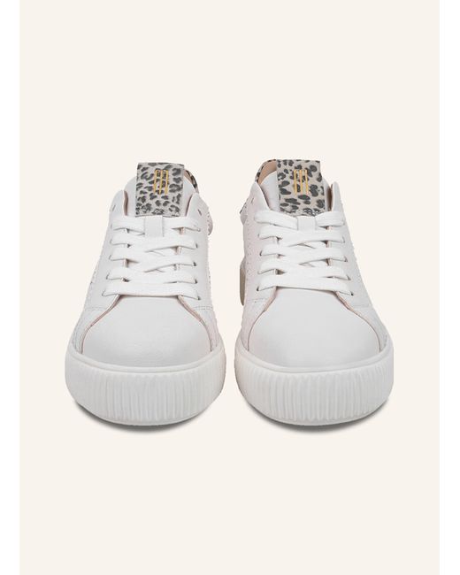 CRICKIT Gray Sneaker ORMA