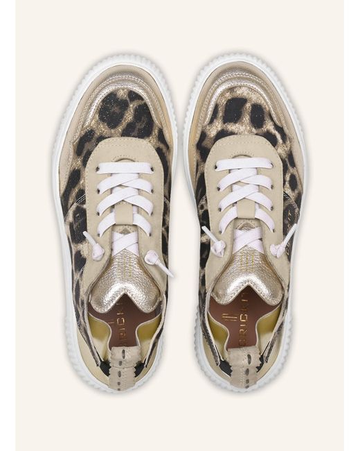 CRICKIT Natural Sneaker OAKLI