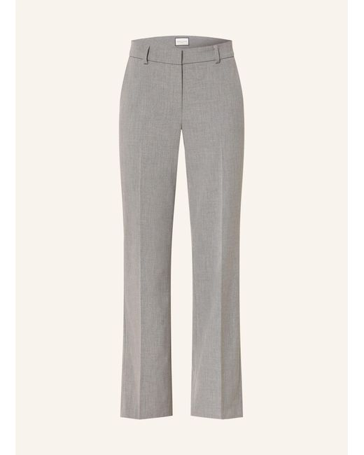 Seductive Gray Hose LUCA