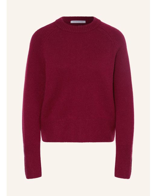 Alcidia da Veiga Red Pullover GILL mit Cashmere