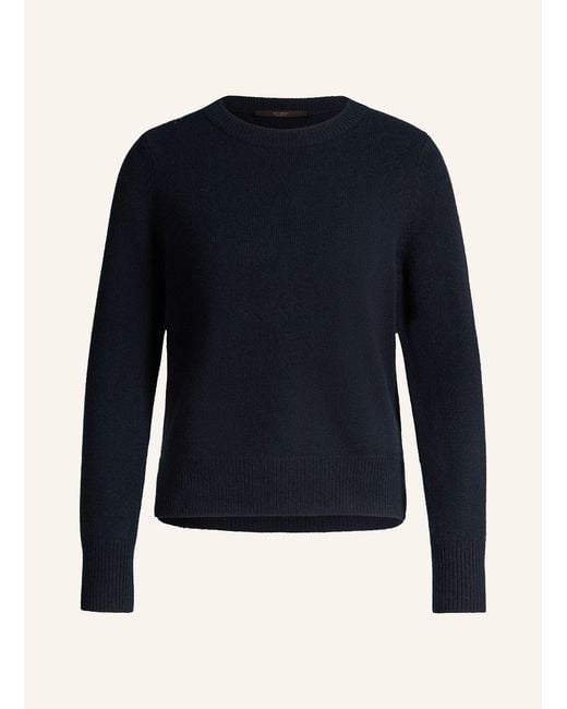 Windsor. Blue Pullover