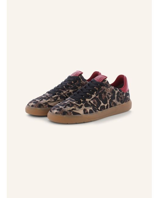 Kennel & Schmenger Brown Sneaker POP