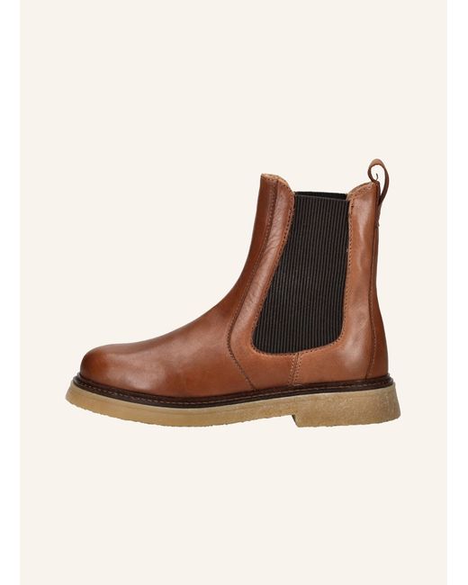 Pavement Brown Stiefelette