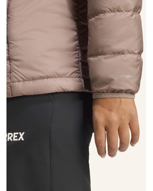 Adidas Originals Brown TERREX MULTI LIGHT DOWN CLIMAWARM JACKE
