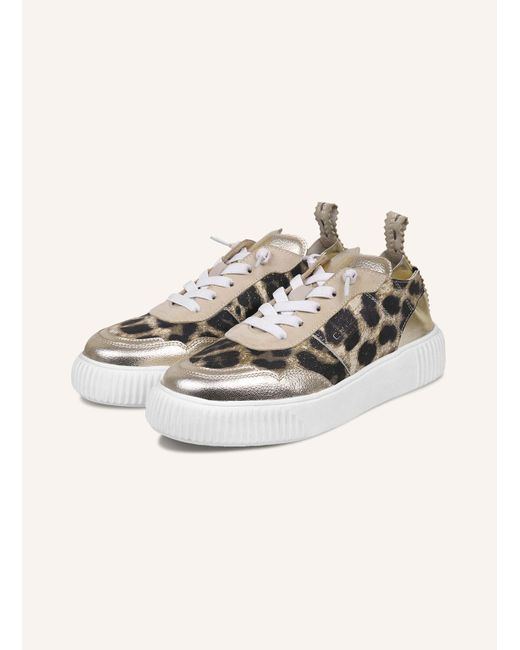 CRICKIT Natural Sneaker OAKLI