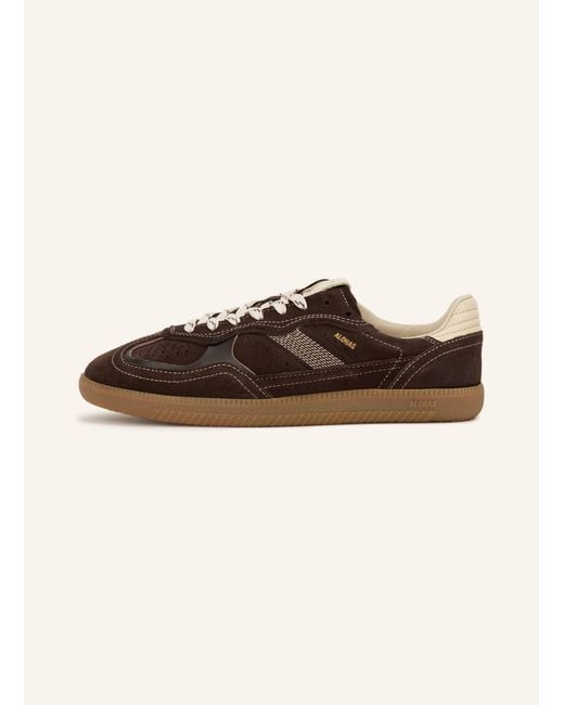 Alohas Brown Sneaker TB.490