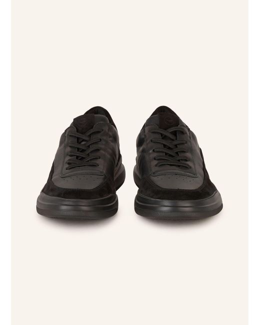 Lloyd Sneaker ARIO in Black für Herren